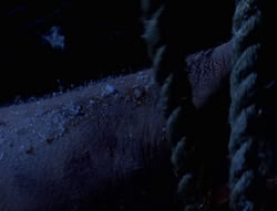 extant_XenaWarriorPrincess_5x01-FallenAngel_01165