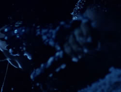 extant_XenaWarriorPrincess_5x01-FallenAngel_01168