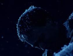 extant_XenaWarriorPrincess_5x01-FallenAngel_01188