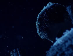 extant_XenaWarriorPrincess_5x01-FallenAngel_01190