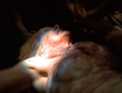 extant_XenaWarriorPrincess_5x01-FallenAngel_01678