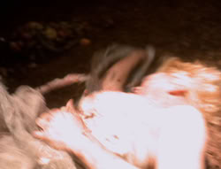 extant_XenaWarriorPrincess_5x01-FallenAngel_01705