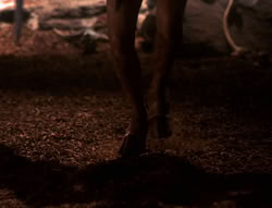 extant_XenaWarriorPrincess_5x01-FallenAngel_01790