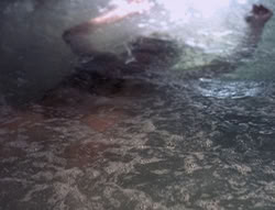extant_XenaWarriorPrincess_5x01-FallenAngel_01955