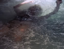 extant_XenaWarriorPrincess_5x01-FallenAngel_01956