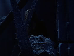 extant_XenaWarriorPrincess_5x01-FallenAngel_02285
