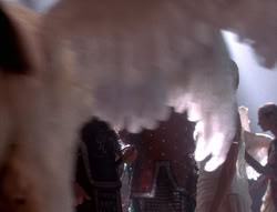 extant_XenaWarriorPrincess_5x01-FallenAngel_02368