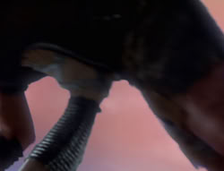 extant_XenaWarriorPrincess_5x01-FallenAngel_02990