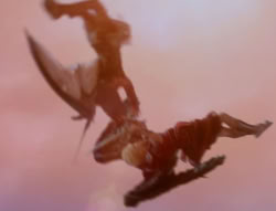 extant_XenaWarriorPrincess_5x01-FallenAngel_02991