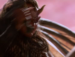 extant_XenaWarriorPrincess_5x01-FallenAngel_02996
