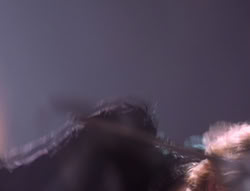 extant_XenaWarriorPrincess_5x01-FallenAngel_03029