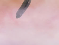 extant_XenaWarriorPrincess_5x01-FallenAngel_03211