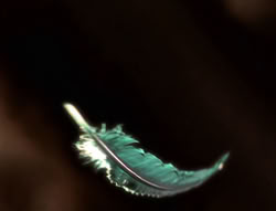 extant_XenaWarriorPrincess_5x01-FallenAngel_03220