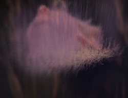 extant_XenaWarriorPrincess_5x01-FallenAngel_03393