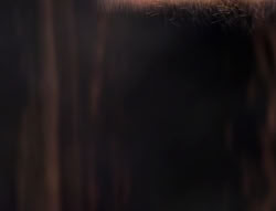 extant_XenaWarriorPrincess_5x01-FallenAngel_03394