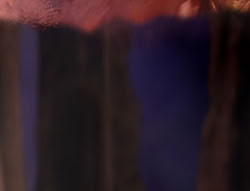 extant_XenaWarriorPrincess_5x01-FallenAngel_03398