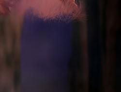 extant_XenaWarriorPrincess_5x01-FallenAngel_03402