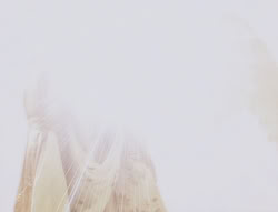 extant_XenaWarriorPrincess_5x01-FallenAngel_03556