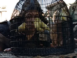extant_XenaWarriorPrincess_5x02_Chakram_0446