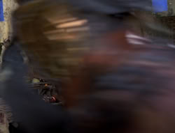 extant_XenaWarriorPrincess_5x02_Chakram_0502