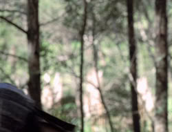extant_XenaWarriorPrincess_5x02_Chakram_0955