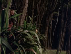 extant_XenaWarriorPrincess_5x02_Chakram_1161