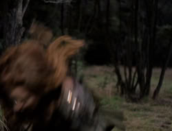extant_XenaWarriorPrincess_5x02_Chakram_1203