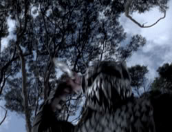 extant_XenaWarriorPrincess_5x02_Chakram_1224