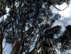 extant_XenaWarriorPrincess_5x02_Chakram_1235