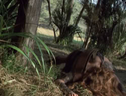 extant_XenaWarriorPrincess_5x02_Chakram_1271
