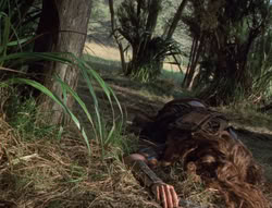 extant_XenaWarriorPrincess_5x02_Chakram_1273