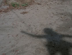 extant_XenaWarriorPrincess_5x02_Chakram_2455