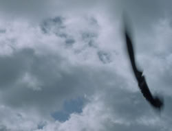 extant_XenaWarriorPrincess_5x02_Chakram_2461