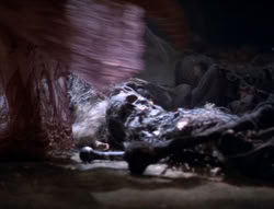 extant_XenaWarriorPrincess_5x02_Chakram_2608