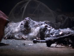 extant_XenaWarriorPrincess_5x02_Chakram_2609