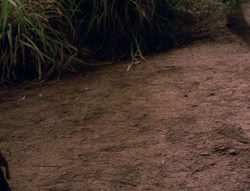 extant_XenaWarriorPrincess_5x02_Chakram_3387