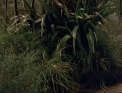 extant_XenaWarriorPrincess_5x02_Chakram_3390