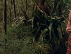 extant_XenaWarriorPrincess_5x02_Chakram_3391