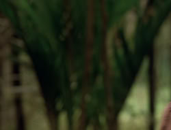 extant_XenaWarriorPrincess_5x02_Chakram_3435