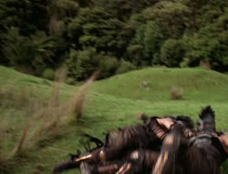 extant_XenaWarriorPrincess_5x03_Succession_0176