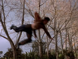 extant_XenaWarriorPrincess_5x03_Succession_0181