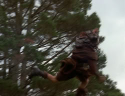 extant_XenaWarriorPrincess_5x03_Succession_0187