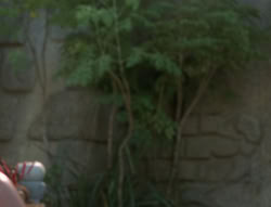 extant_XenaWarriorPrincess_5x03_Succession_0307