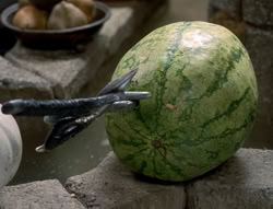 extant_XenaWarriorPrincess_5x03_Succession_0582