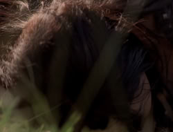 extant_XenaWarriorPrincess_5x03_Succession_0803