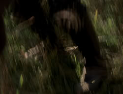extant_XenaWarriorPrincess_5x03_Succession_0903