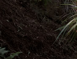 extant_XenaWarriorPrincess_5x03_Succession_0916