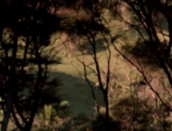 extant_XenaWarriorPrincess_5x03_Succession_0917