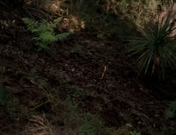 extant_XenaWarriorPrincess_5x03_Succession_0922