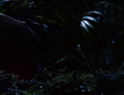 extant_XenaWarriorPrincess_5x03_Succession_1089